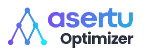 asertu Optimizer