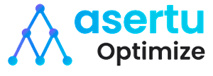 asertu Optimizer